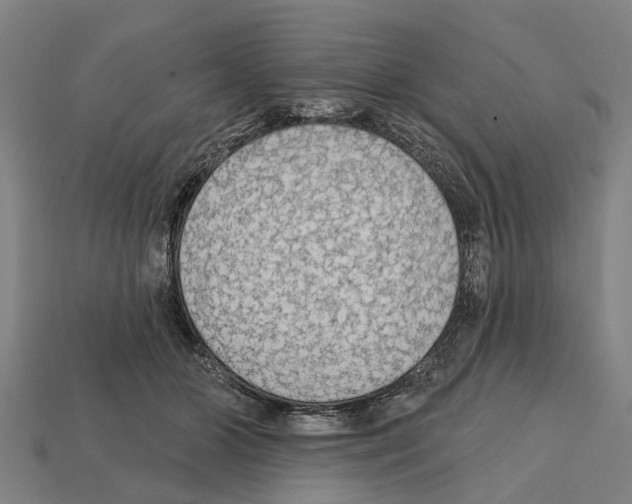 X0000111910510200909071159
