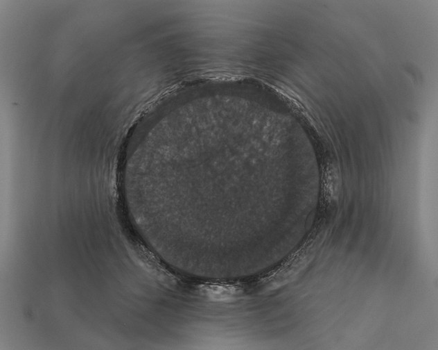 X0000111910512200909071159