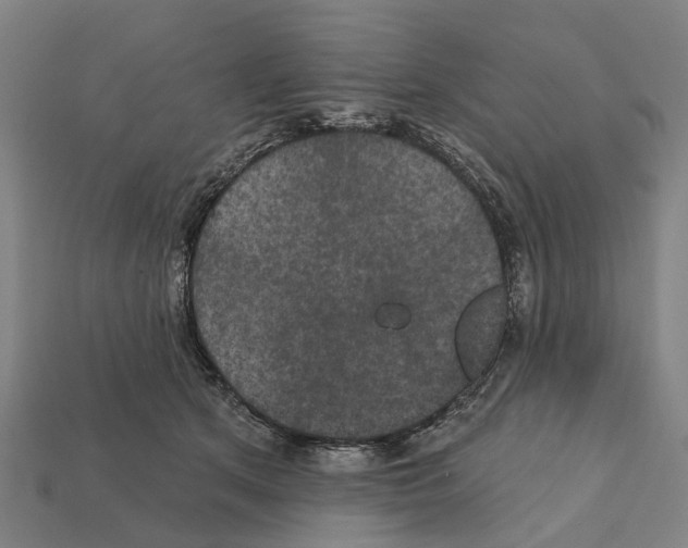 X0000111910513200909071159