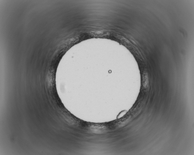 X0000111910515200909071159