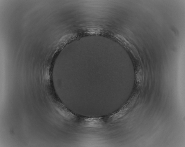 X0000111910516200909071159