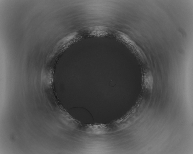 X0000111910517200909071159