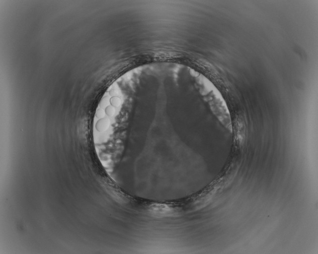 X0000111910519200909071159