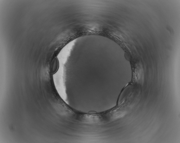 X0000111910520200909071159