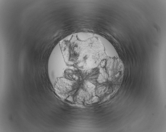 X0000111910523200909071159
