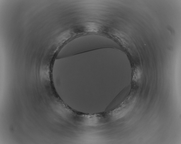 X0000111910524200909071159