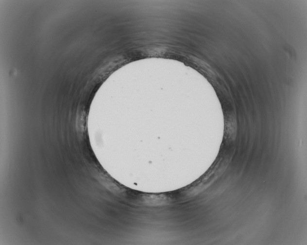 X0000111910525200909071159