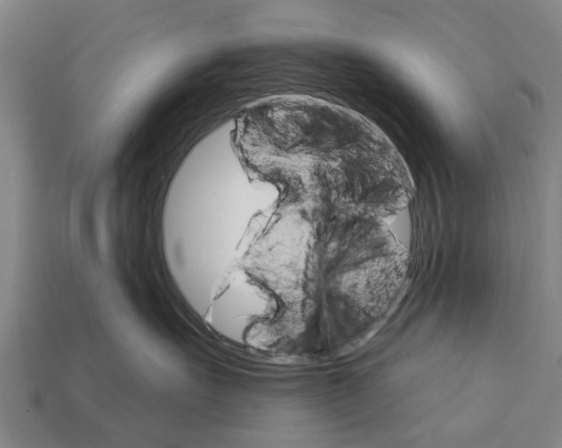 X0000111910527200909071159
