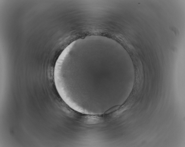X0000111910528200909071159
