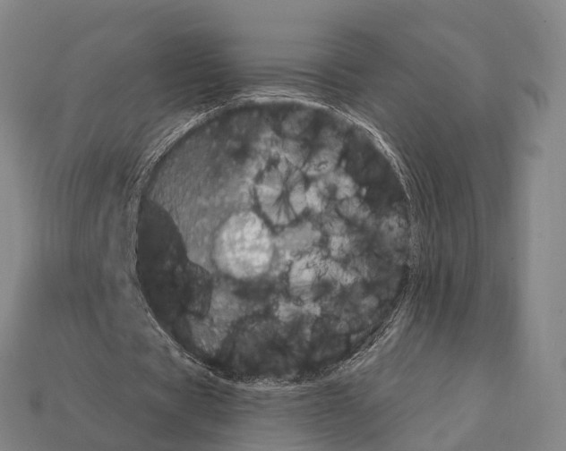 X0000111910529200909071158