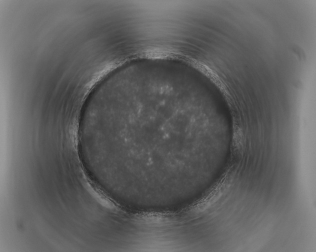 X0000111910530200909071158