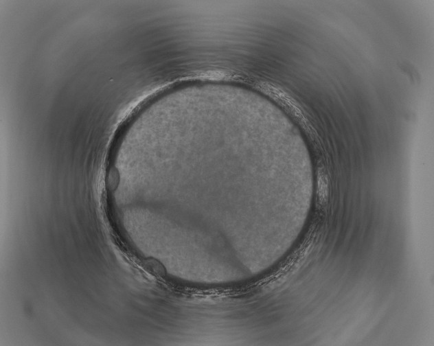 X0000111910532200909071158