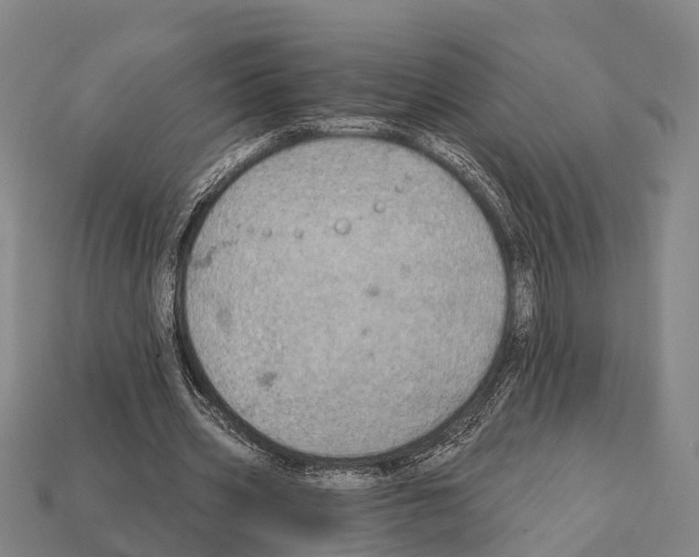 X0000111910533200909071158