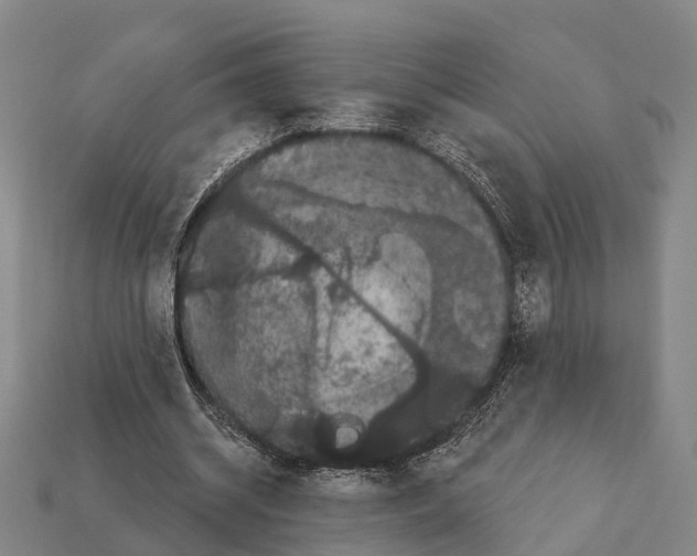 X0000111910534200909071158