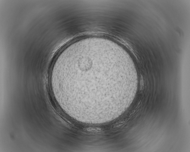 X0000111910535200909071158