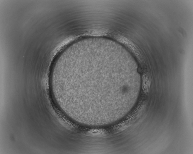 X0000111910536200909071159