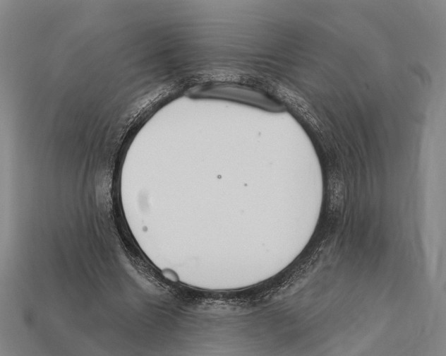 X0000111910538200909071159