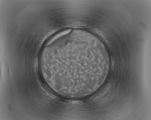 X0000111910539200909071159