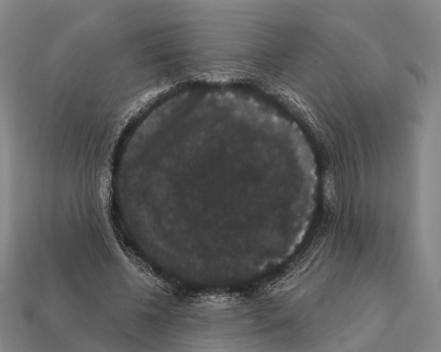 X0000111910540200909071159