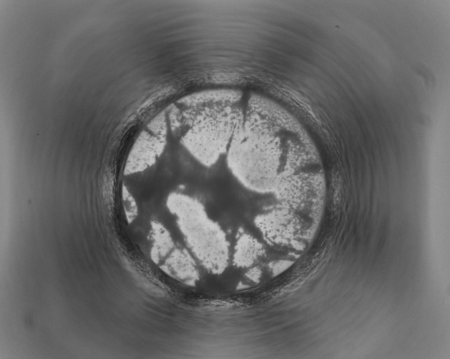 X0000111910542200909071159