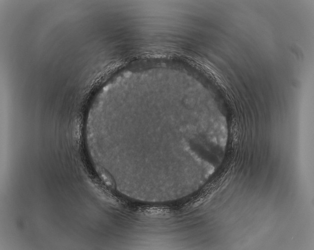 X0000111910546200909071159