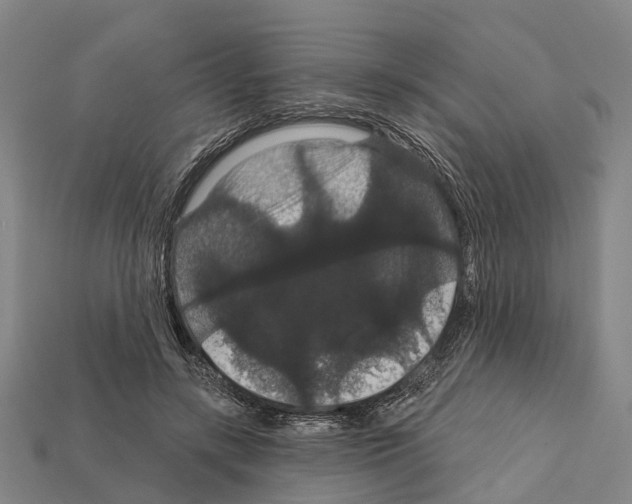 X0000111910547200909071159