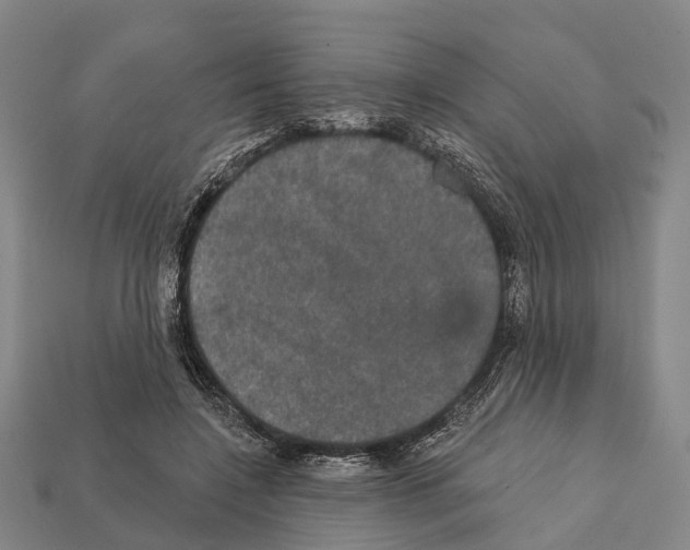 X0000111910548200909071159