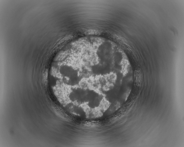 X0000111910550200909071159