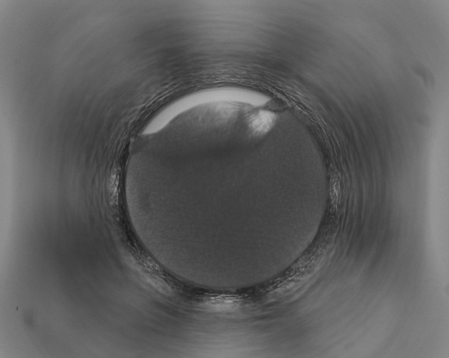 X0000111910551200909071159