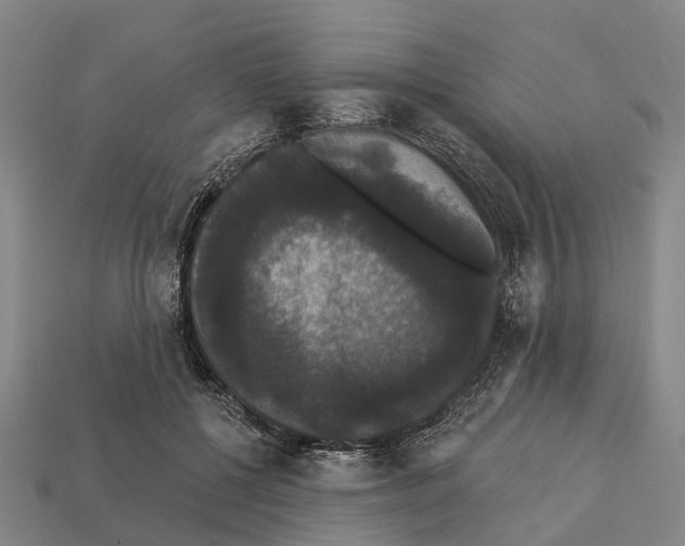 X0000111910552200909071159