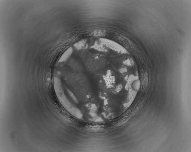 X0000111910553200909071159