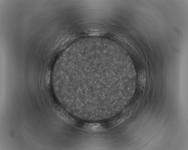 X0000111910554200909071159