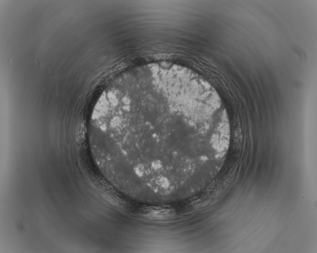 X0000111910555200909071159