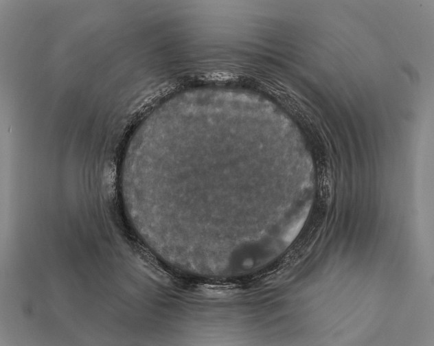 X0000111910556200909071159
