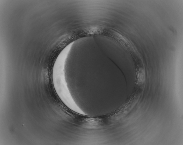 X0000111910558200909071159