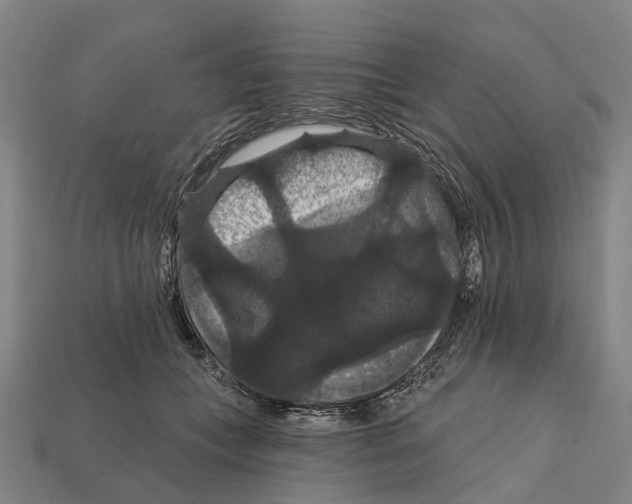 X0000111910559200909071159