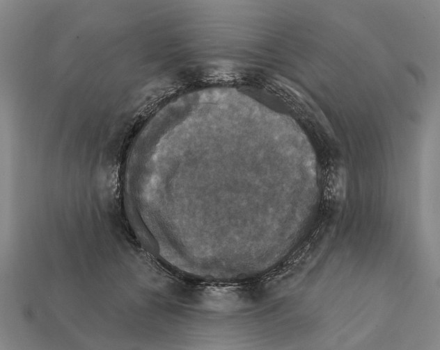 X0000111910560200909071159
