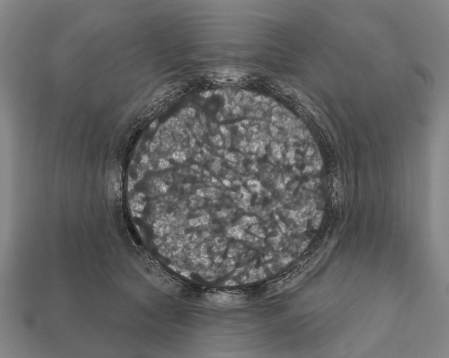 X0000111910561200909071159
