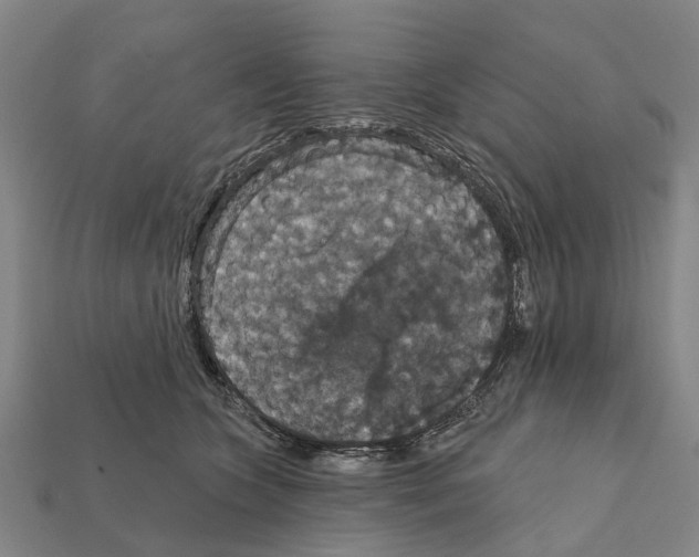 X0000111910563200909071159