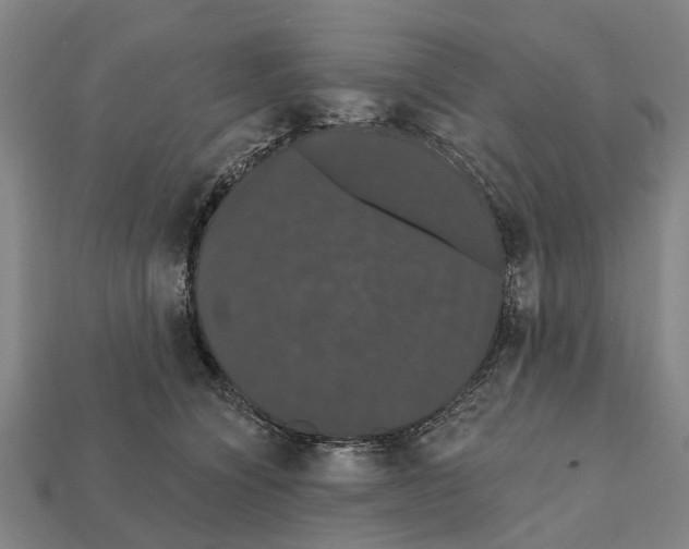 X0000111910564200909071159