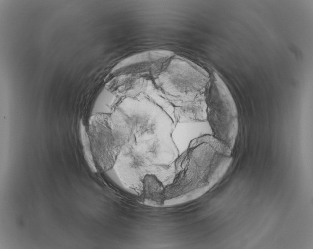 X0000111910565200909071159