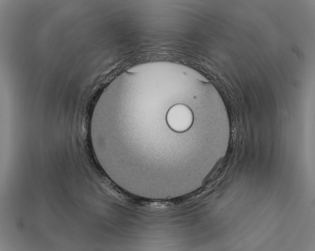 X0000111910566200909071159
