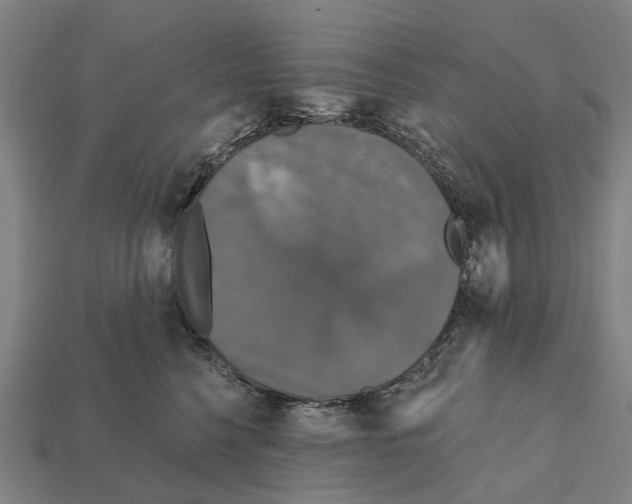 X0000111910568200909071159