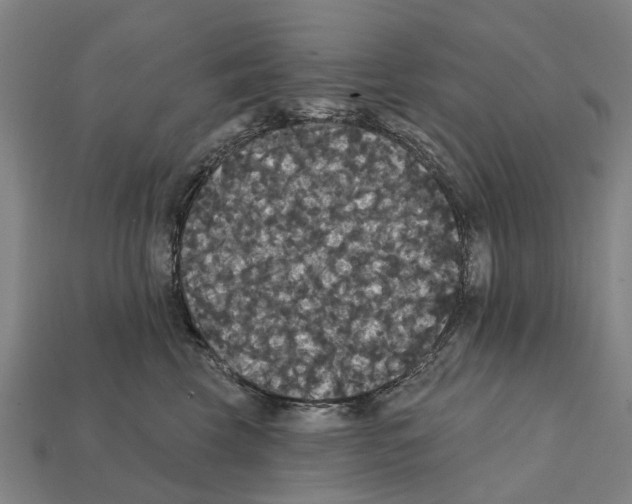 X0000111910569200909071159