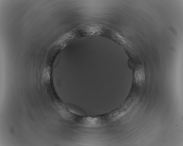 X0000111910570200909071159