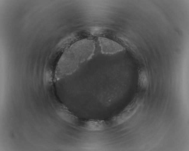 X0000111910571200909071159