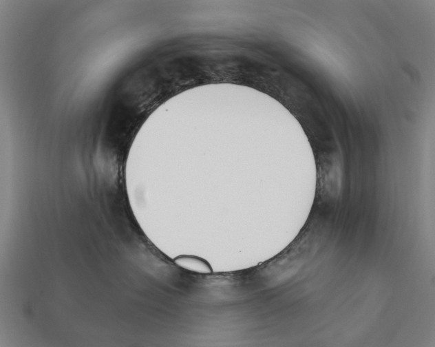 X0000111910574200909071159