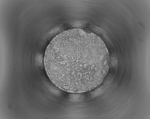 X0000111910575200909071159