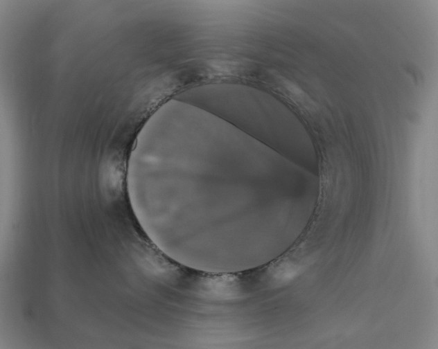 X0000111910576200909071159