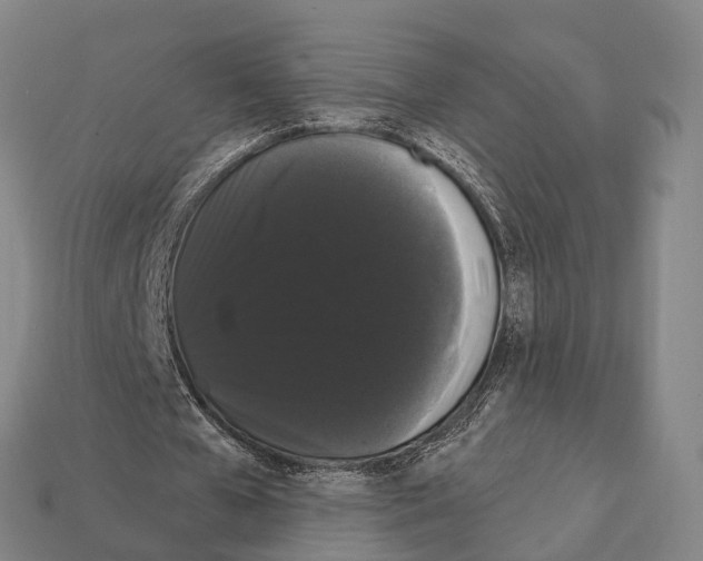 X0000111910577200909071158